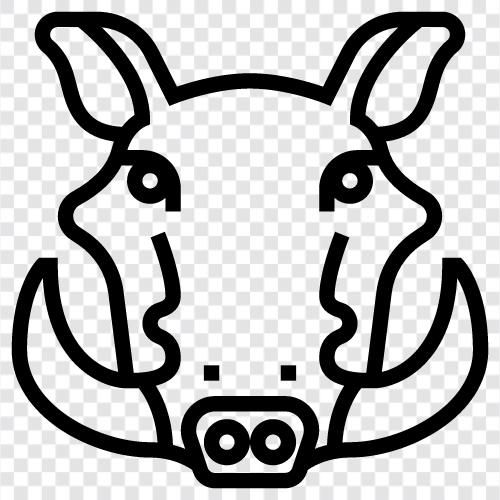 Tiere, Jagd, Fleisch, Wildschwein symbol