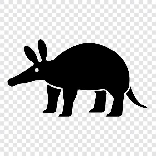 animals, animal, mammals, Africa icon svg