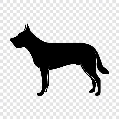 hayvanlar, mammals, quadruped, furry ikon svg