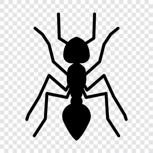 Ant colonies, Ant farm, Ants, Ants on a log icon svg