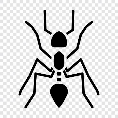 Ant colony, Ant farm, Ants, Ants on a tree icon svg