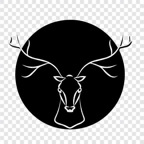 Antelope, Elch, Buck, Hirschjagd symbol