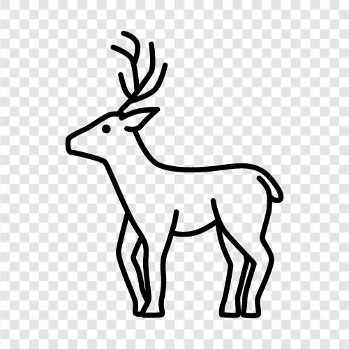 Antelope, Elk, Rifles, Hunting ikon svg