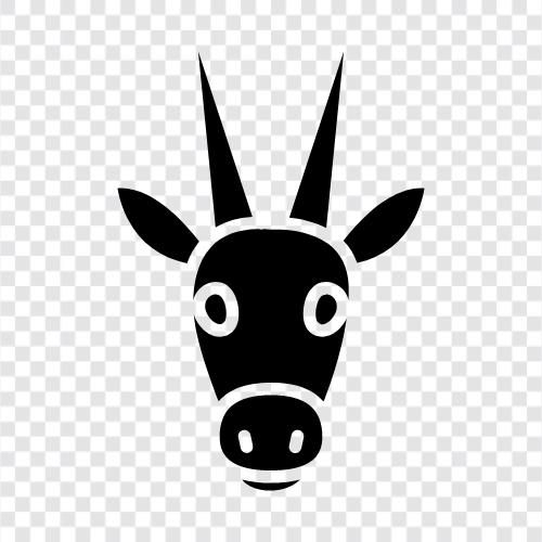 Antilope, Afrika, Tier, Jäger symbol