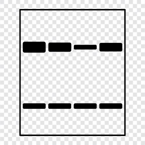 antibody, antigen, protein, blot icon svg