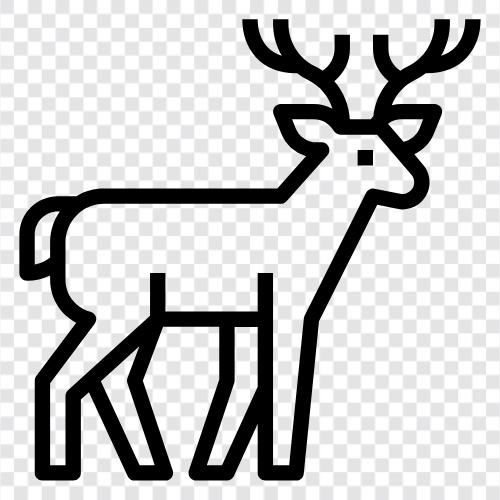 antler, bucks, hunting, hunting equipment icon svg