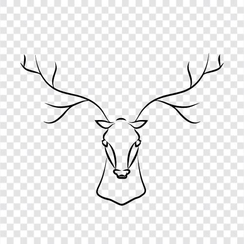 Antler, Buw, Bucks, Calves ikon svg