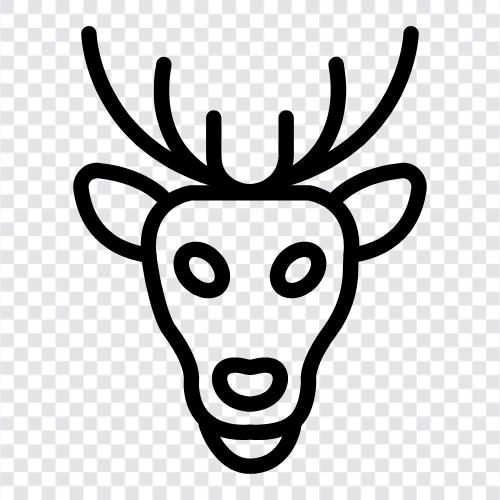 Antler, Hunting, Taxidermy, Deer icon svg