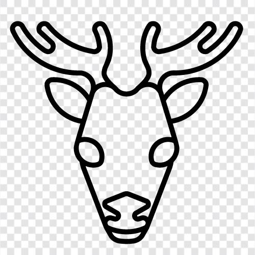 Antlers, Bucks, Ruffed Grouse, Mule Deer icon svg