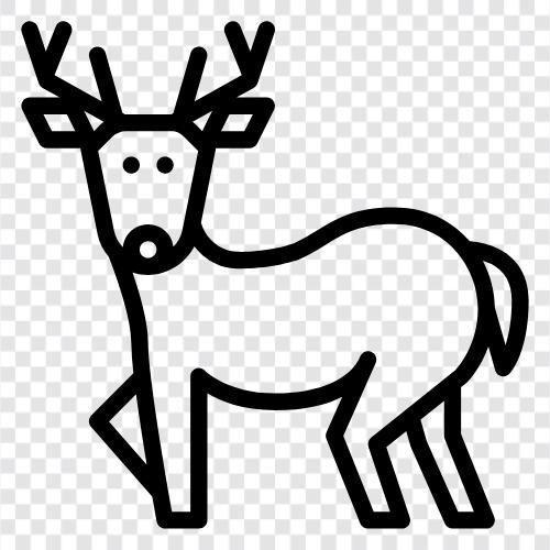 Antlers, Hunting, Deer Hunting, Buck icon svg