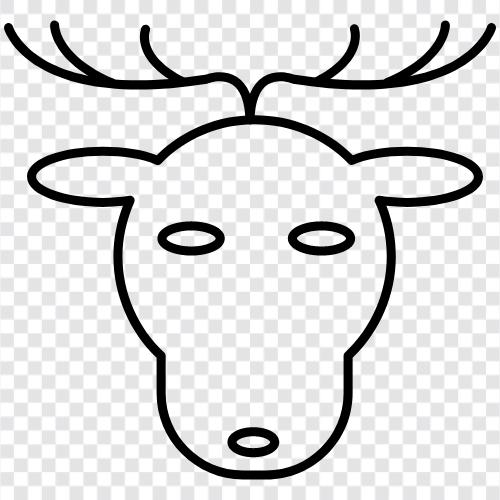 antlers, reindeer meat, reindeer hide, reind icon svg