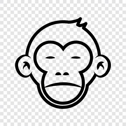 ape, primate, baboon, cynocephalus icon svg