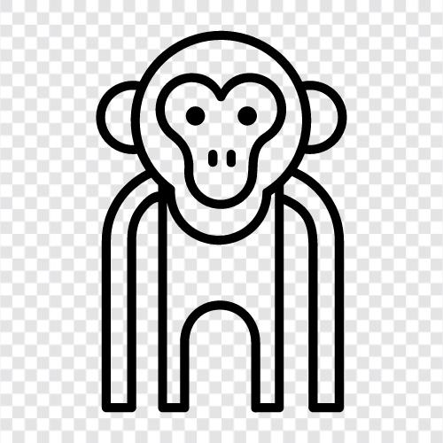 maymun, primate, simian, sloth ikon svg