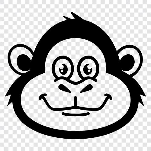 maymun, primate, simian, monkey bak ikon svg