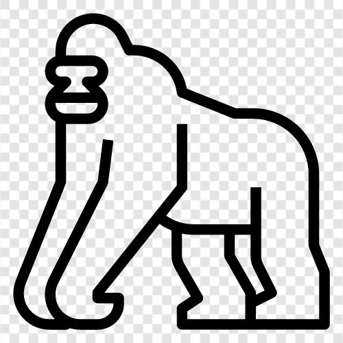 ape, forest, silverback, troop icon svg