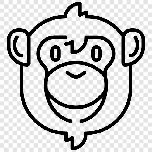 ape, baboon, gibbon, tamarin icon svg