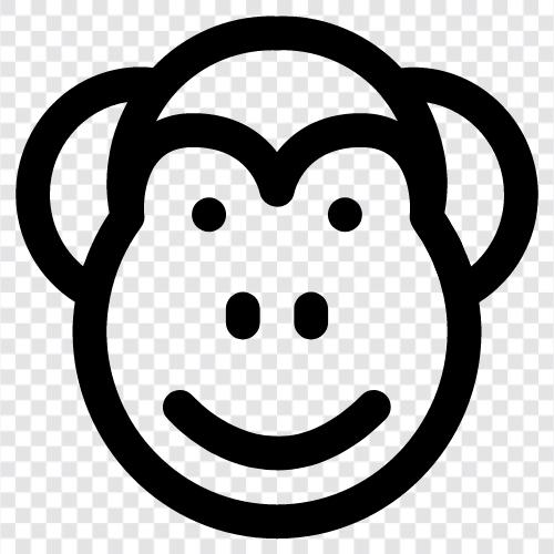 ape, simian, siamang, baboon icon svg