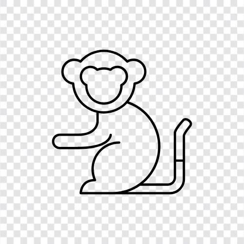 ape, primate, simian, monkey icon svg