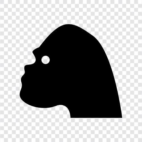 maymun, primates, silverback, dağ goril ikon svg