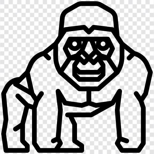 ape, mountain gorilla, silverback gorilla, gorilla Harambe icon svg