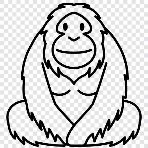 maymun, primate, monkey, hayvan ikon svg