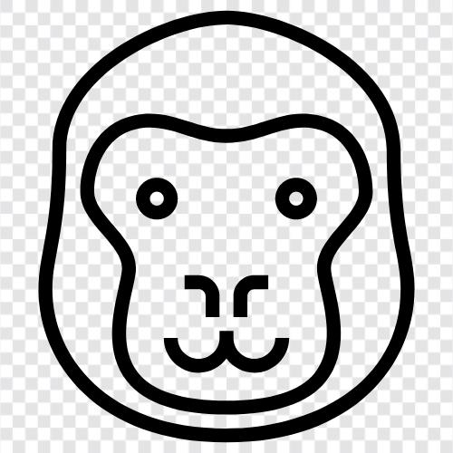 ape, silverback, mountain gorilla, Bornean orangutan icon svg