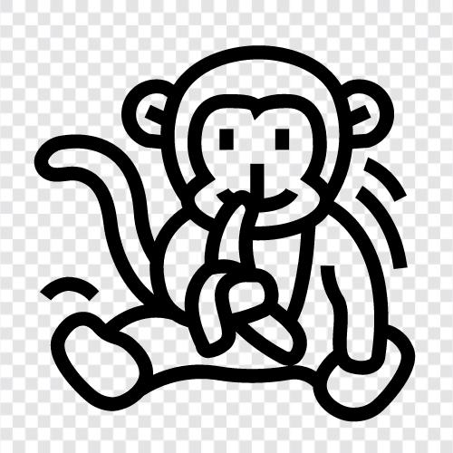 maymun, primate, simian, arboreal ikon svg