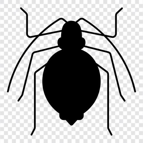 aphids, pest, insect, plant icon svg