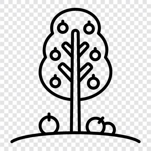 Apple Tree Seeds, Apple Tree Planting, Apple Tree Growth, Apple Tree icon svg