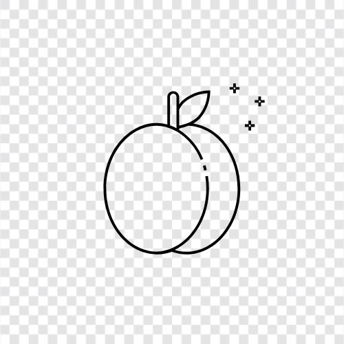 Aprikosenobst, Aprikosenmarmelade, Aprikosenkuchen, Aprikosen symbol