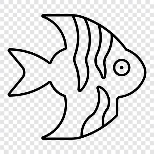 akvaryum, balık, tropikal, angelfish ikon svg