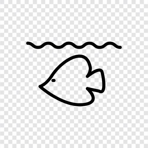 aquarium, salt, fresh, cleaning icon svg