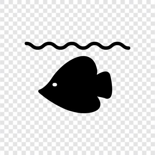 Aquarium, Cichlids, Tank, Freshwater icon svg