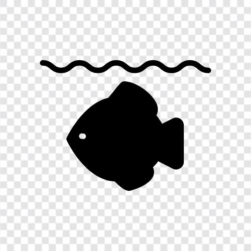 Aquarium, Cichlid, Salt, Tank icon svg