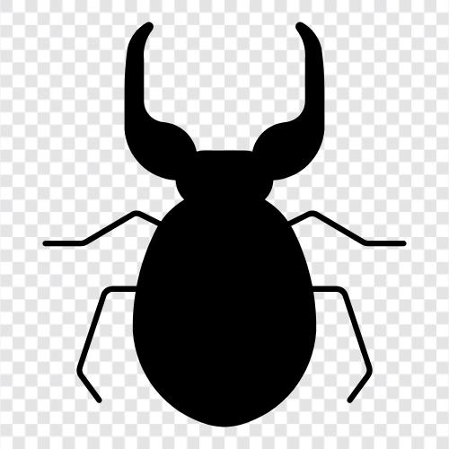 aquatic, bug, aquatic insects, aquatic arthropods icon svg