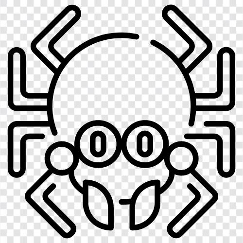 arachnid, örümcek, örümcek adam, örümcek kadın ikon svg