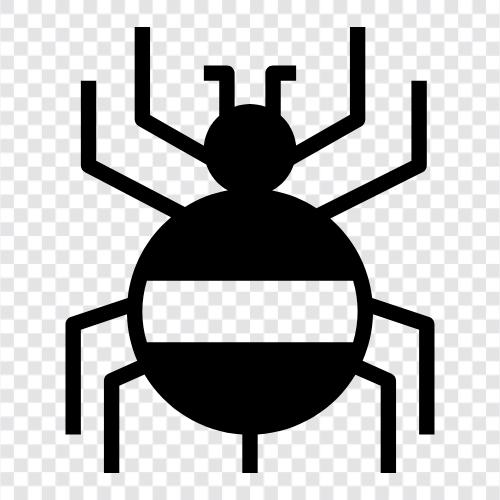 arachnid, örümcek adam, örümcek kadın, örümcekler ikon svg