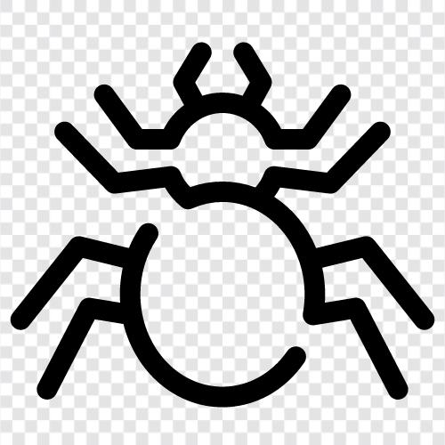 arachnid, venom, web, hunt icon svg