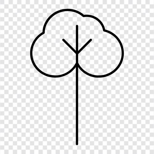 Arbor, Foliage, Branch, Leaf icon svg