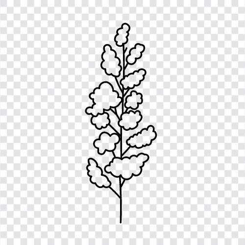 Baum, Obstzweig, Blatt, Schießen symbol