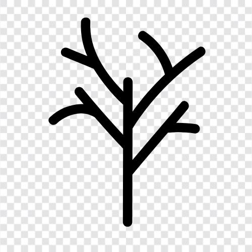 Baum, Obst symbol