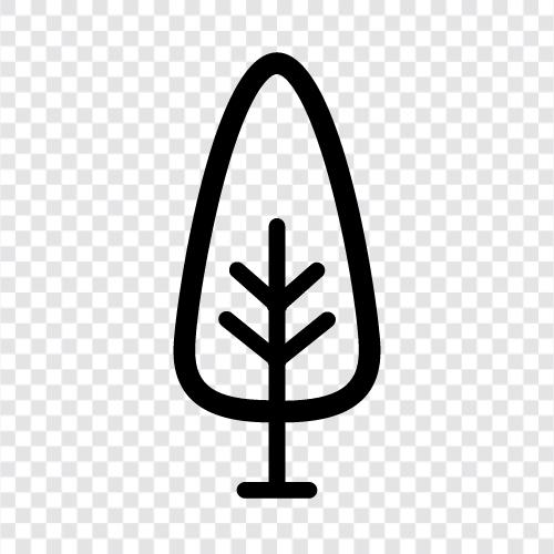 Arbor, Foliage, Leaf, Branch icon svg