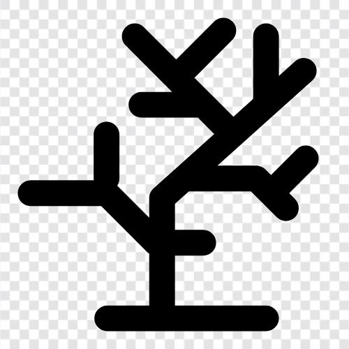 Arbor, Fruiting, Sap, Branches icon svg