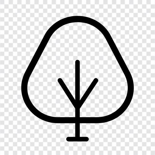 Baum, Laub, Blatt, Strauch symbol