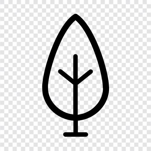 Arbor, Foliage, Branch, Twig icon svg