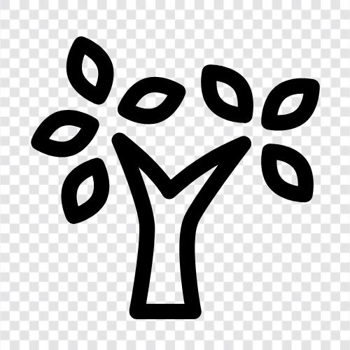 Arboreal, Früchte, Nüsse, Blumen symbol