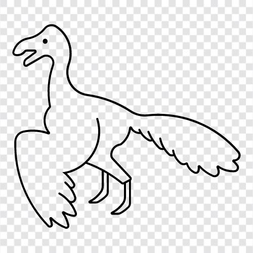 Archaeopteryx, the first bird, primitive bird, first bird icon svg