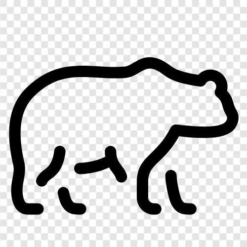 Arctic, bear, animal, conservation icon svg