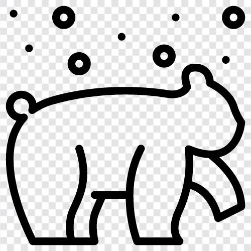 arctic, bear, animal, conservation icon svg