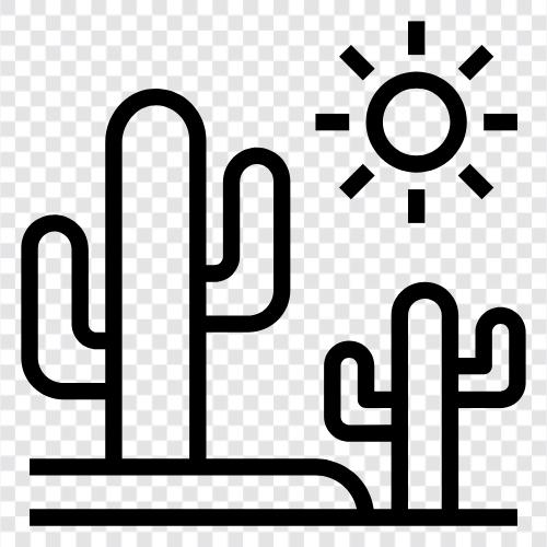 arid, sand, hot, dry icon svg